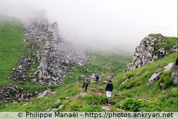 Frontière entre le réel et l'inconnu (Auvergne, au pays des volcans / Trekking / France / Auvergne - FR-63) © Philippe Manaël