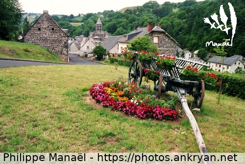 Char fleuri, Orcival (Auvergne, au pays des volcans / Trekking / France / Auvergne - FR-63) © Philippe Manaël