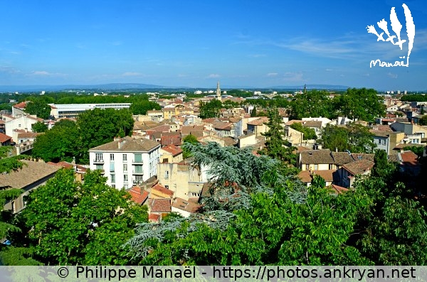 Vue panoramique (Avignon / Ville / France / Vaucluse - FR-84) © Philippe Manaël