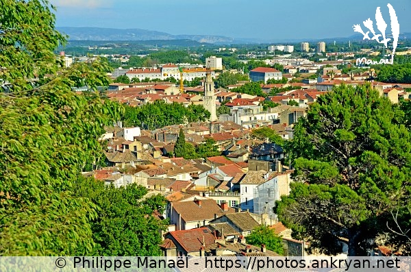 Panorama à travers les feuillages (Avignon / Ville / France / Vaucluse - FR-84) © Philippe Manaël