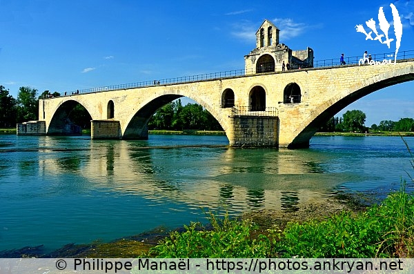 Pont Saint-Bénézet (Avignon / Ville / France / Vaucluse - FR-84) © Philippe Manaël