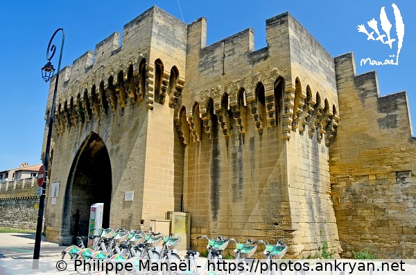 Porte Saint-Roch (Avignon / Ville / France / Vaucluse - FR-84) © Philippe Manaël