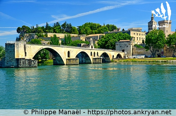 Pont Saint-Bénézet sur le Rhône (Avignon / Ville / France / Vaucluse - FR-84) © Philippe Manaël