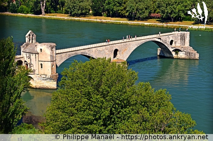 Pont d'Avignon - Saint Bénézet (Avignon / Ville / France / Vaucluse - FR-84) © Philippe Manaël