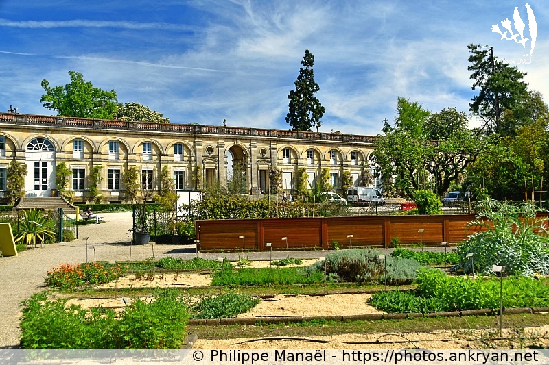 Jardin botanique (Bordeaux / Ville / France / Gironde - FR-33) © Philippe Manaël