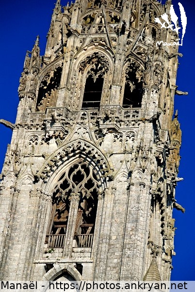Tour nord, Cathédrale Notre-Dame (Chartres / Ville / France / Eure-et-Loir - FR-28) © Philippe Manaël