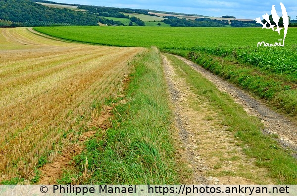 Circuit Rollon dit Le Marcheur (Dangu / Ville / France / Haute-Normandie - FR-27) © Philippe Manaël