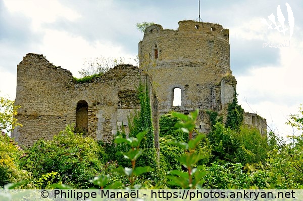 Château de Château-sur-Epte : tour maîtresse (Dangu / Ville / France / Haute-Normandie - FR-27) © Philippe Manaël
