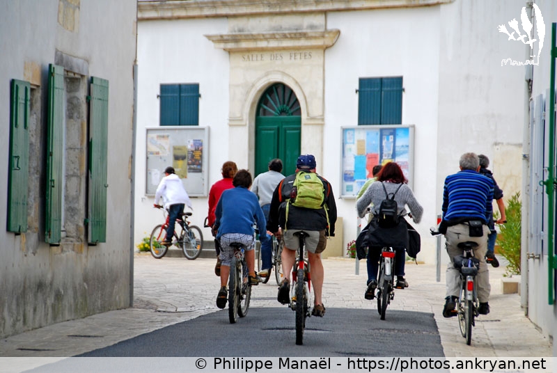 Lignée de vélos, Ars en Ré (Ile de Ré / Ile / France / Poitou-Charentes - FR-17) © Philippe Manaël