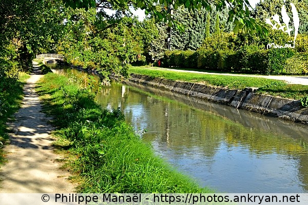 Le long du canal de Carprentras (L'Isle-sur-la-Sorgue / Ville / France) © Philippe Manaël