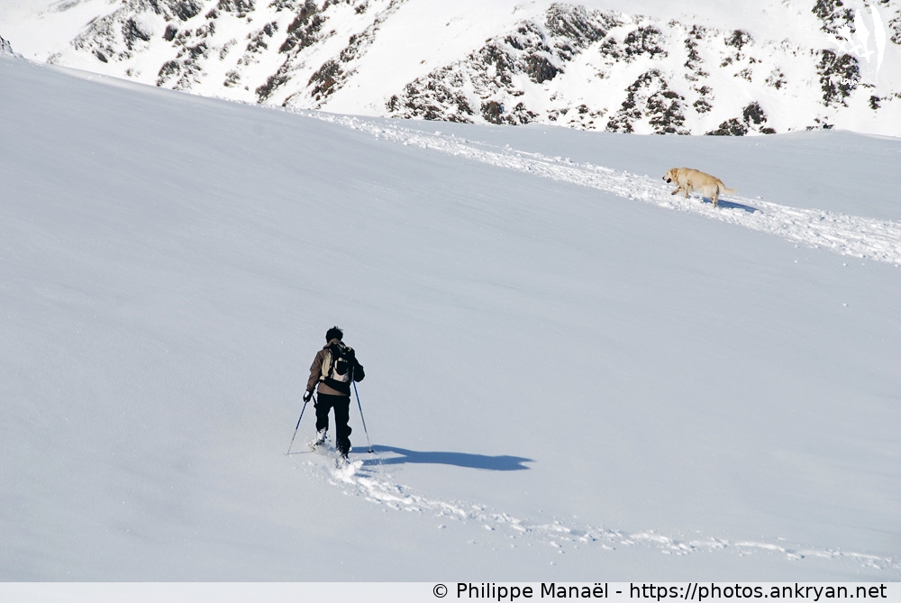 Course entre l'homme et l'animal (La Bollosa, petit Canada pyrénéen / Trekking / France / Pyrénées-Orientales - FR-66) © Philippe Manaël