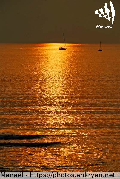 Soleil couchant sur un océan doré (La Rochelle / Ville / France / Poitou-Charentes - FR-17) © Philippe Manaël