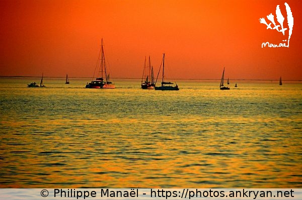 Bateaux au soleil couchant (La Rochelle / Ville / France / Poitou-Charentes - FR-17) © Philippe Manaël