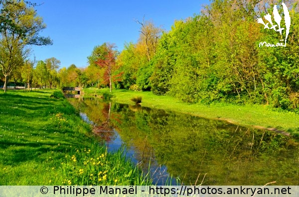 Ruisseau du parc Charruyer (La Rochelle / Ville / France / Poitou-Charentes - FR-17) © Philippe Manaël