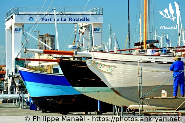 Bateaux, Bassin des Grands Yachts (La Rochelle / Ville / France / Poitou-Charentes - FR-17) © Philippe Manaël