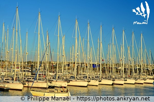 Bassin des Tamaris, port des Minimes (La Rochelle / Ville / France / Poitou-Charentes - FR-17) © Philippe Manaël