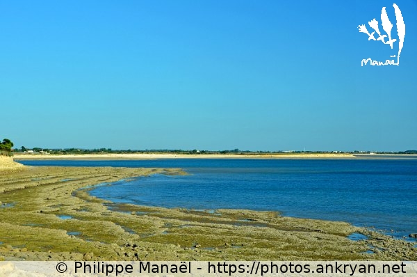 Front de mer, marée basse (La Rochelle / Ville / France / Poitou-Charentes - FR-17) © Philippe Manaël