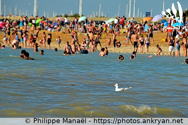 La plage des Minimes (La Rochelle / Ville / France / Poitou-Charentes - FR-17) © Philippe Manaël