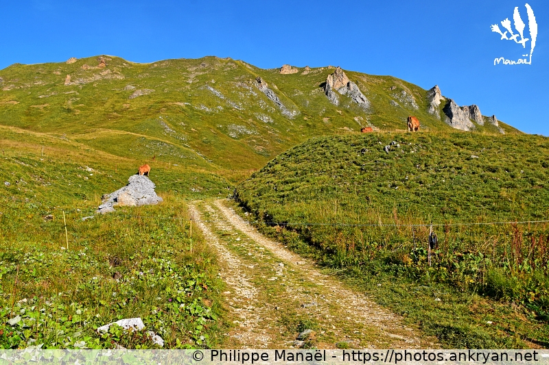 Montagne de la Grande Val (Les Balcons de la Vanoise / Trekking / France / Savoie - FR-73) © Philippe Manaël