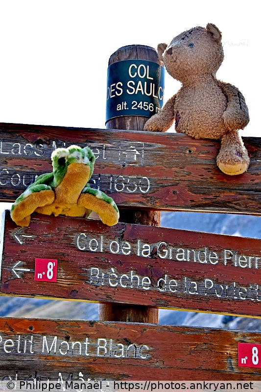 Duo Solidaire au col des Saulces (Les Balcons de la Vanoise / Trekking / France / Savoie - FR-73) © Philippe Manaël