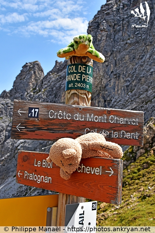 Duo Solidaire au Col de la Grande Pierre (Les Balcons de la Vanoise / Trekking / France / Savoie - FR-73) © Philippe Manaël