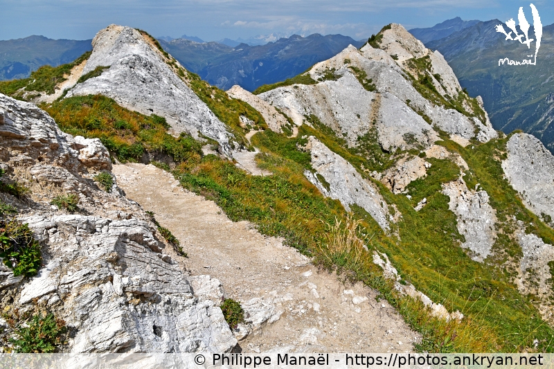 Crête du Mont Charvet : sentier (Les Balcons de la Vanoise / Trekking / France / Savoie - FR-73) © Philippe Manaël