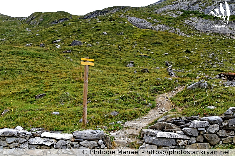 Sentier d'accès : Moriond et l'Arcelin (Les Balcons de la Vanoise / Trekking / France / Savoie - FR-73) © Philippe Manaël