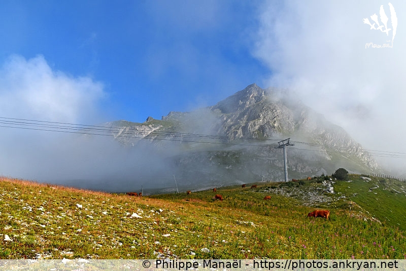 Mont Bochor d'en haut (Les Hauts de la Vanoise / Trekking / France / Savoie - FR-73) © Philippe Manaël