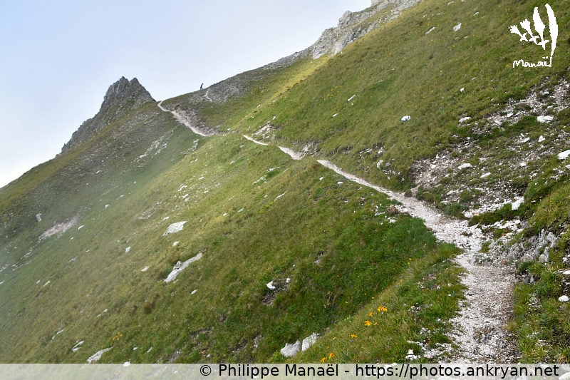 Sentier des Échines 4 (Les Hauts de la Vanoise / Trekking / France / Savoie - FR-73) © Philippe Manaël