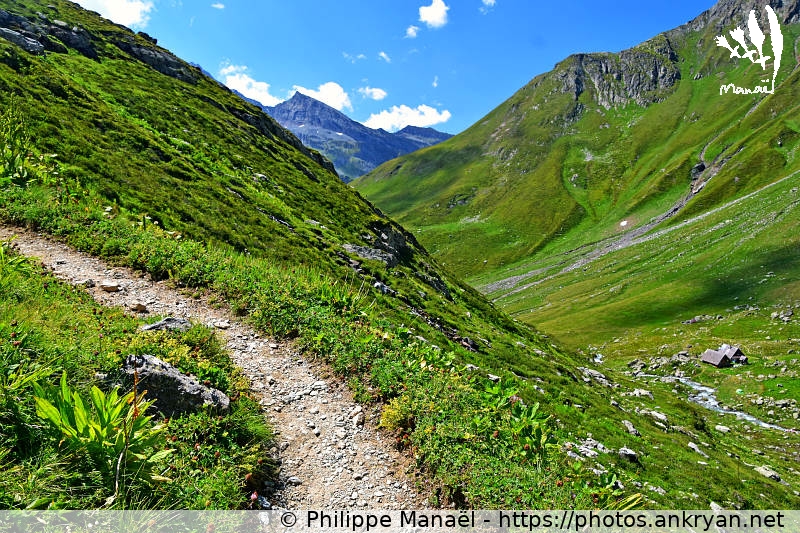 Sentier au dessus du refuge de Plaisance (Les Hauts de la Vanoise / Trekking / France / Savoie - FR-73) © Philippe Manaël