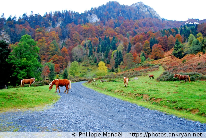 Le Haugarou, Aucun (Les Pyrénées, en route pour les étoiles / Trekking / France / Midi-Pyrénées - FR-65) © Philippe Manaël