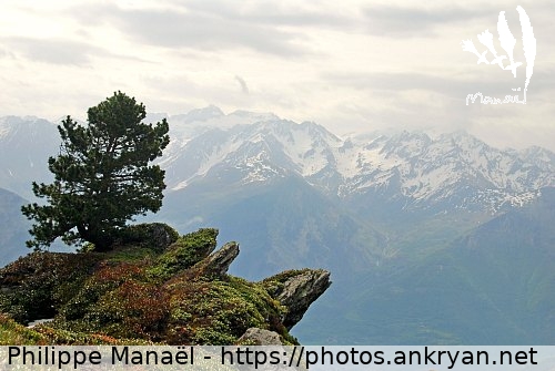 Massif de l'Ardiden : éperon rocheux (Les Pyrénées, spécial 10 ans de Natura / Trekking / France) © Philippe Manaël