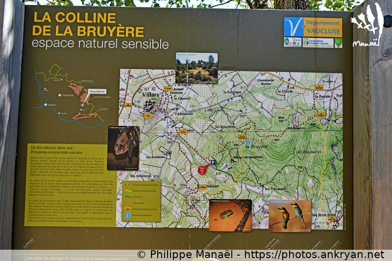 Colline de la Bruyère, Villars (Massif des Ocres du Luberon / Trekking / France / Vaucluse - FR-84) © Philippe Manaël