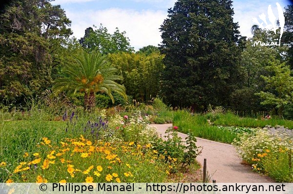 Jardin paysager à l'anglaise (Montpellier / Ville / France / Hérault - FR-34) © Philippe Manaël