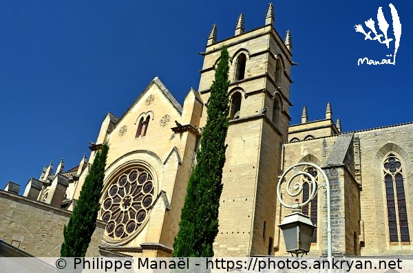 Cathédrale Saint-Pierre (Montpellier / Ville / France / Hérault - FR-34) © Philippe Manaël