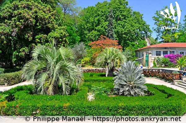 Jardin des Plantes : jardin à la française (Montpellier / Ville / France / Hérault - FR-34) © Philippe Manaël