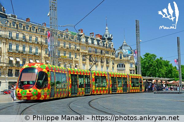 Ligne 2 du tramway, place de la Comédie (Montpellier / Ville / France / Hérault - FR-34) © Philippe Manaël