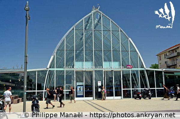 Gare de Saint-Roch (Montpellier / Ville / France / Hérault - FR-34) © Philippe Manaël