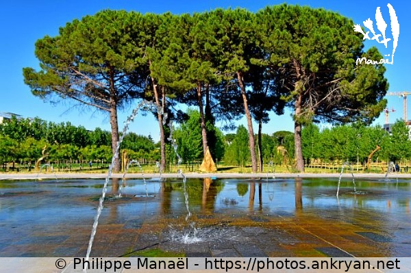 Miroir d'eau, Parc Georges Charpak (Montpellier / Ville / France) © Philippe Manaël