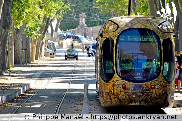 Ligne 4 du tramway, place Albert 1er (Montpellier / Ville / France) © Philippe Manaël