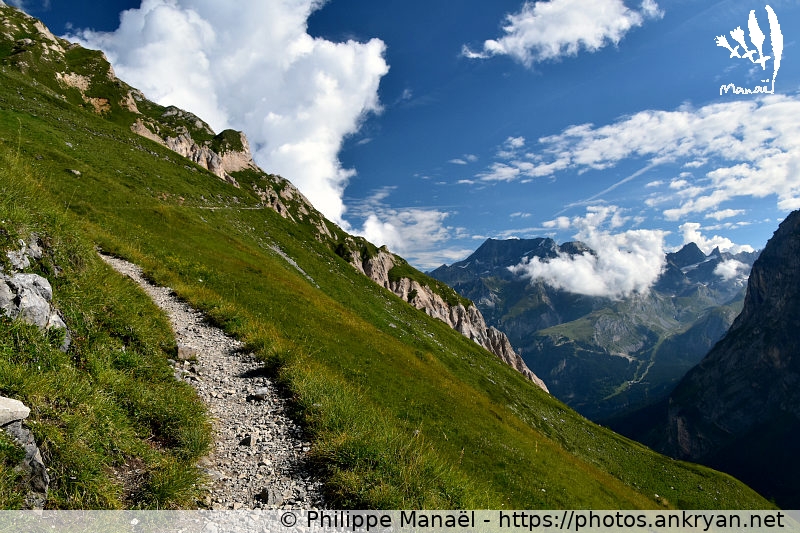 Sur le sentier Le Sécheron (Savoie : Petit Mont Blanc / Balade / France) © Philippe Manaël