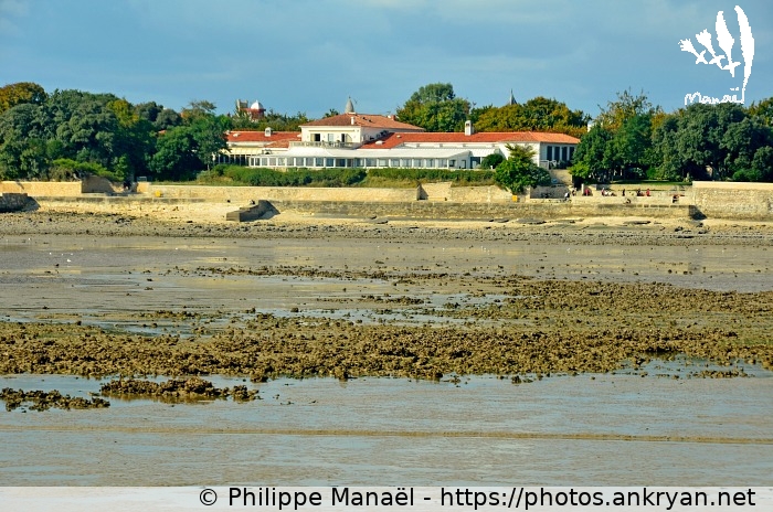 Marée basse (Phases finales des régates rochelaises / Sortie en mer / France) © Philippe Manaël