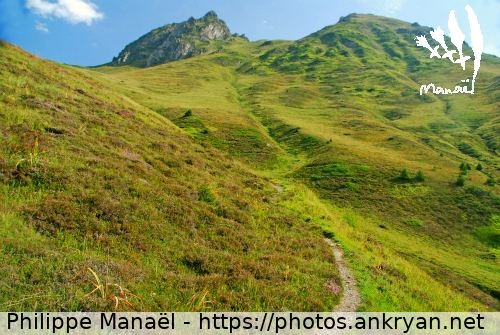 Croupe herbeuse (Pyrénées : Pic du Midi de Bigorre / Balade / France) © Philippe Manaël
