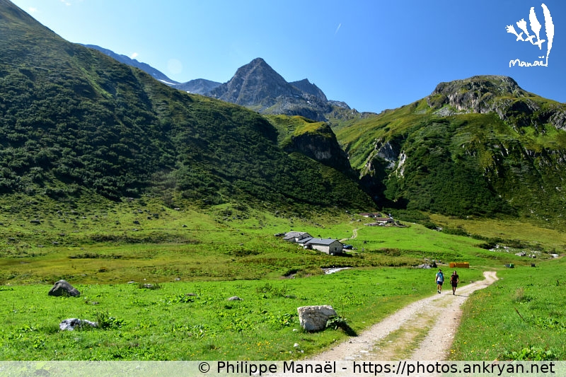 Alpage de Ritord (Savoie : Pointe de l'Observatoire / Balade / France / Savoie - FR-73) © Philippe Manaël
