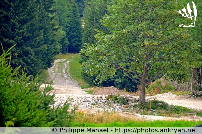 Sentier des Pariettes, depuis Pralognan (Savoie : Col de la Vanoise / Balade / France / Savoie - FR-73) © Philippe Manaël