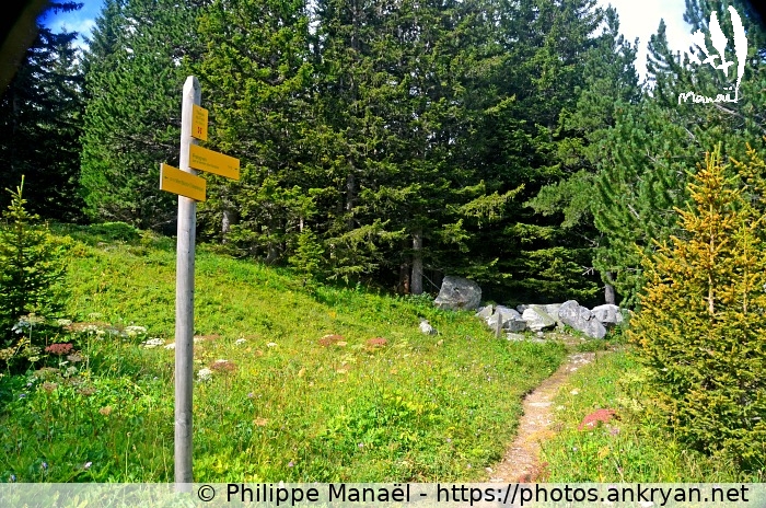 Sentier des Pariettes, depuis Bochor (Savoie : Col de la Vanoise / Balade / France / Savoie - FR-73) © Philippe Manaël