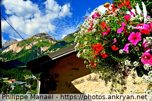 Bouquet fleuri, quartier des Bieux (Pralognan-la-Vanoise / Ville / France / Savoie - FR-73) © Philippe Manaël