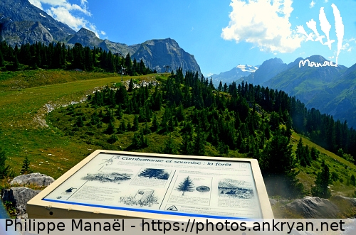 Mont Bochor, table d'orientation (Pralognan-la-Vanoise / Ville / France / Savoie - FR-73) © Philippe Manaël