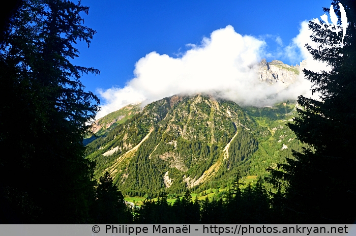 Pentes herbeuses du Napremont 1 (Pralognan-la-Vanoise / Ville / France / Savoie - FR-73) © Philippe Manaël