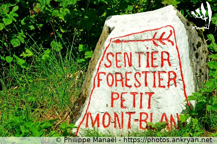 Pierre indicateur (Savoie : Pralognan, Les Prioux / Balade / France / Savoie - FR-73) © Philippe Manaël